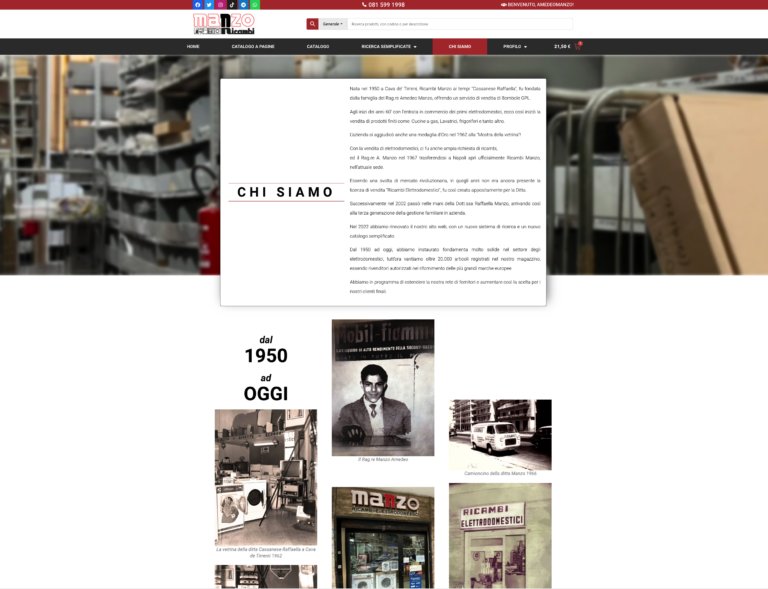 manzo-ricambi/ screenshot